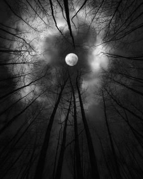 ���� ����: ������������ ������� �� ���, ��� ������������ ������, � ���, ��� �����, ������ � ������� �� ��� ��������������