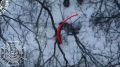 Охота на пехоту ВСУ. Военнослужащий ВСУ очень долго не мог понять, чей же дрон завис над ним в воздухе
