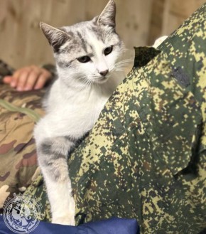 ��� ������: ������� ������ �������