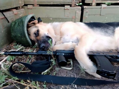 ������� ���. ����� ������