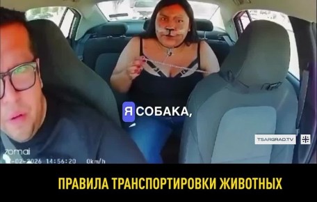 Западная шиза, или История о том, как девушка-«собака» захотела поехать на такси