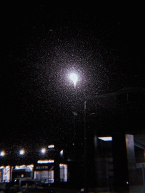 Олег Царёв: Если у меня другое мнение, это не значит, что я ваш враг или идиот