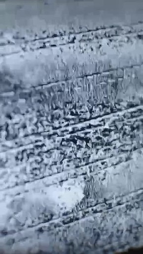 ������ ����������: ������ ����� ���������� ���� � ������������� ����������� ������ (�. ��������)