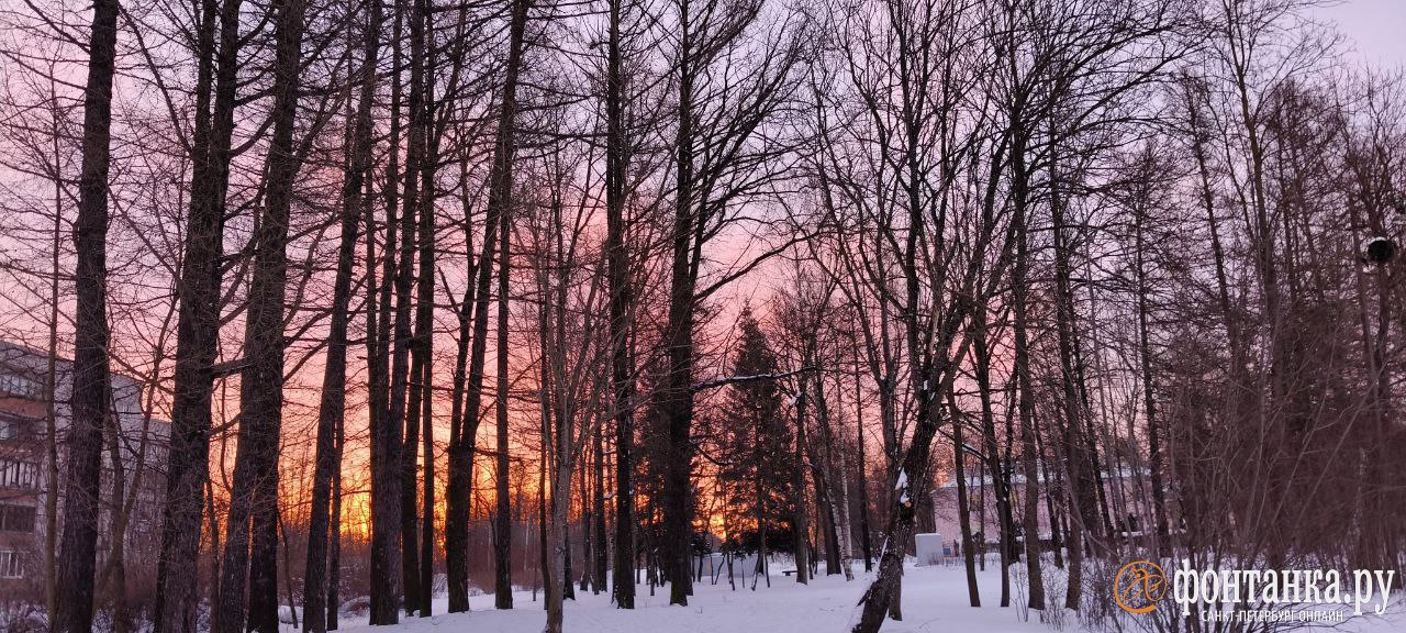 Бесконечно можно смотреть на огонь, воду и красочный рассвет в Петербурге Бесконечно можно смотреть на огонь, воду и красочный рассвет в Петербурге