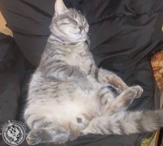 ��� ������: ������� ������ �������