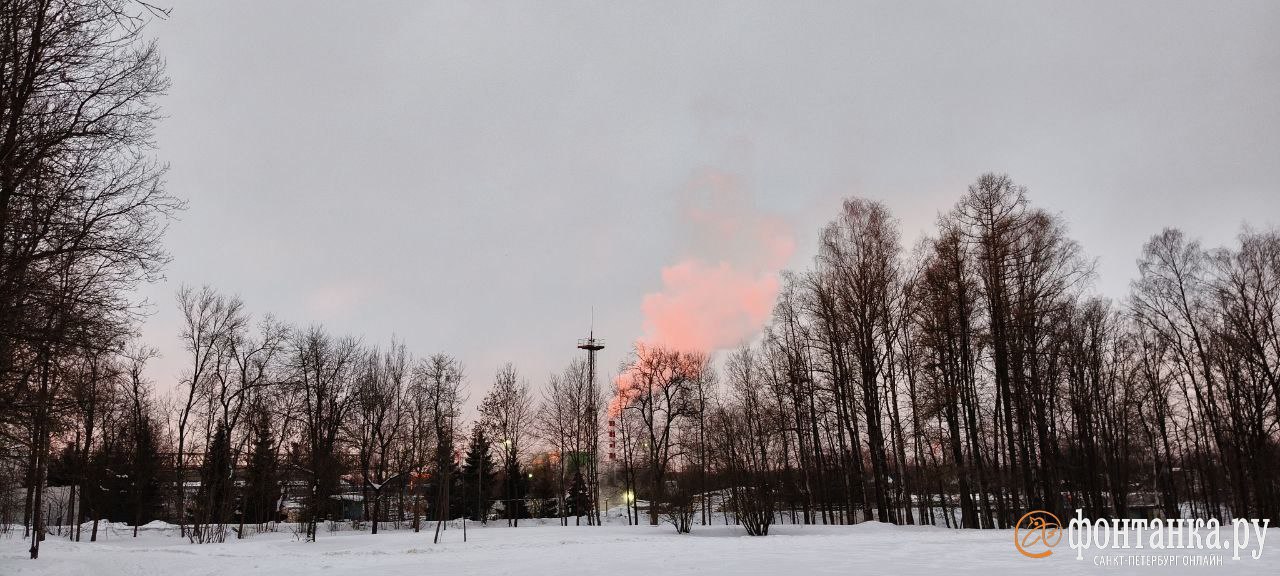 Бесконечно можно смотреть на огонь, воду и красочный рассвет в Петербурге Бесконечно можно смотреть на огонь, воду и красочный рассвет в Петербурге