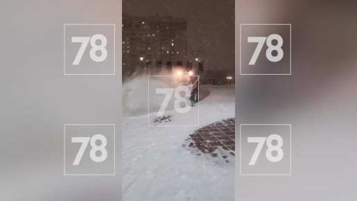 В СКА прокомментировали очередь перед Ледовым дворцом в метель