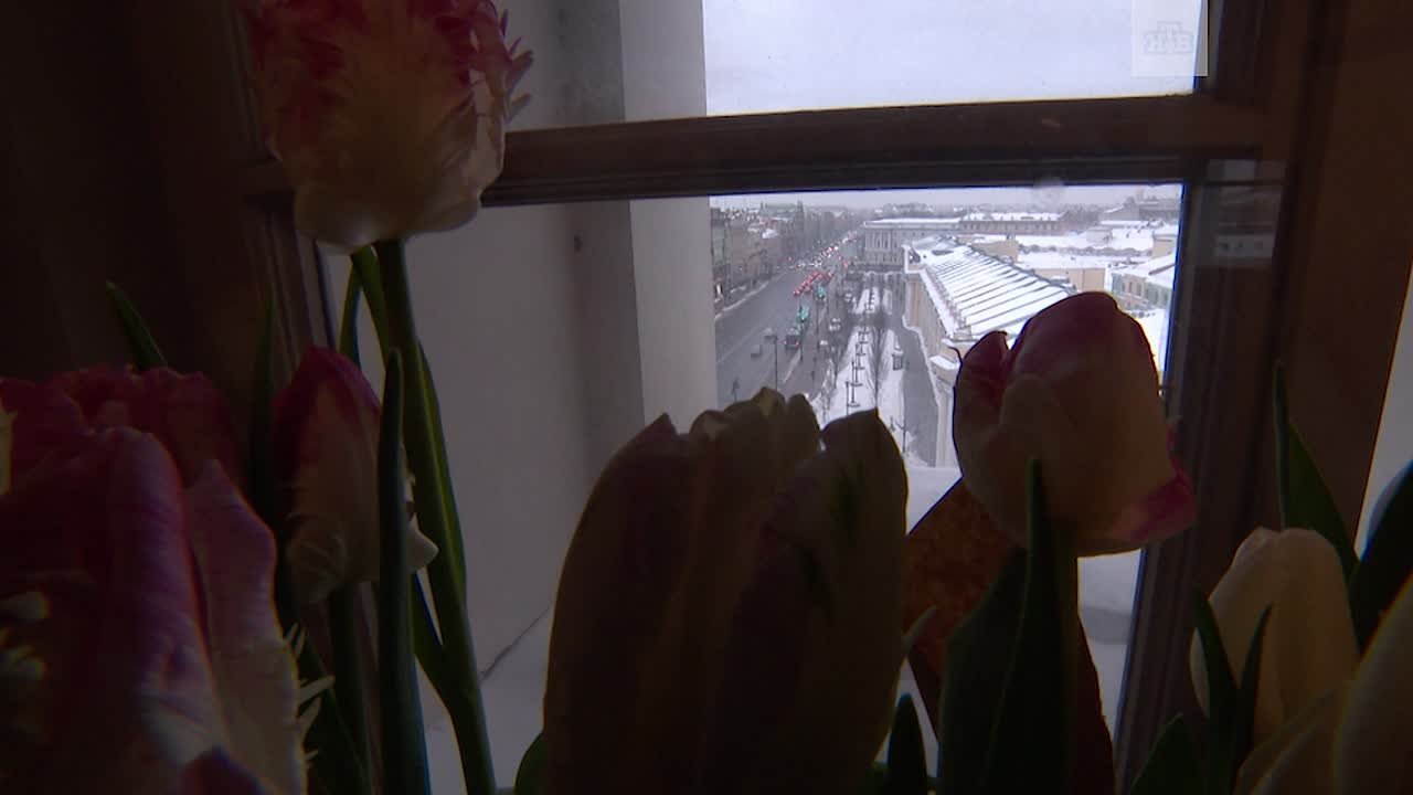 В Думской башне накануне весны открылся фестиваль тюльпанов