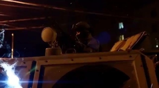 Юлия Витязева: Велик был год и страшен год по Рождестве Христовом 2014-й, от начала же революции первый