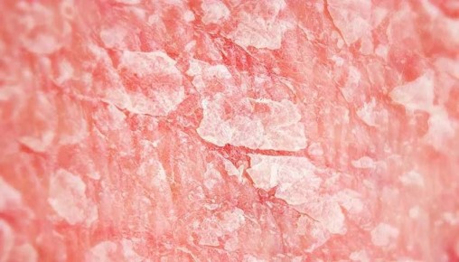 Еженедельная авторская колонка;