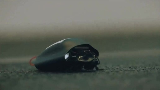 ��� ������: � �������� ���� ������������������ ��������� �������������� ���� ��������� ��� ������� �����