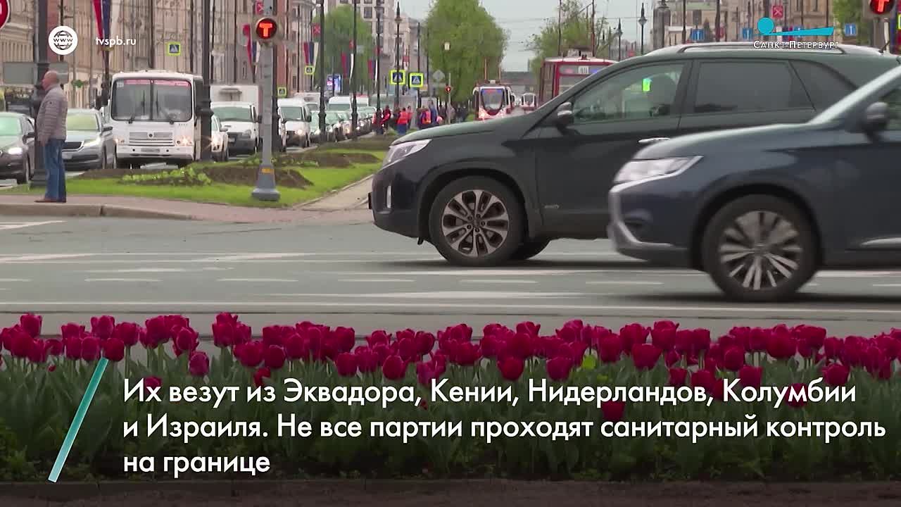 Несмотря на погоду, подготовка к летнему сезону в городе уже началась