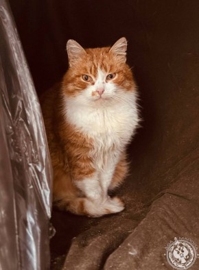 ��� ������: ������� ������ �������