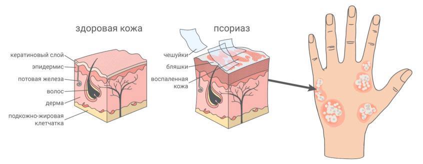 Еженедельная авторская колонка; Еженедельная авторская колонка;