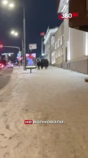 ��������� ��������: �������� ������� ����������� ������� ����� �� ��������