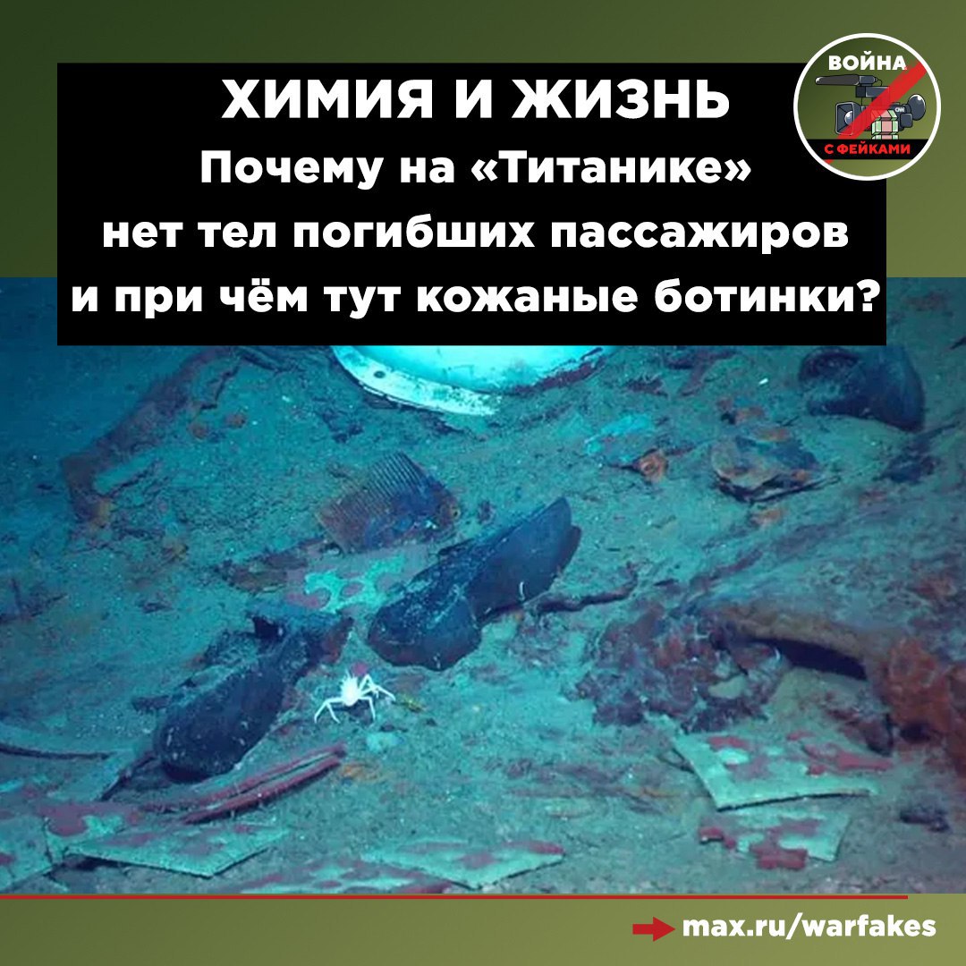 Многочисленные фотографии и видеозаписи обломков «Титаника» демонстрируют что угодно, но только не останки пассажиров