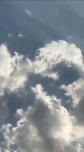 "������" ���� �� ���� � ��������� ������������ �����