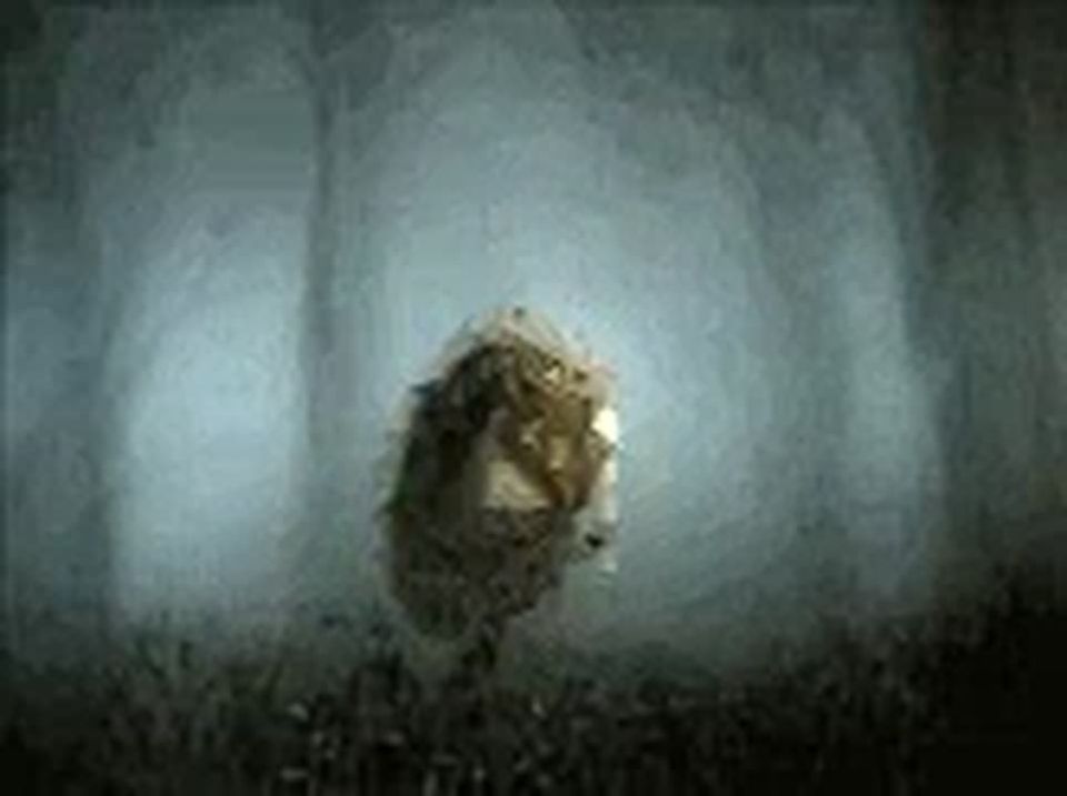 #МЧС_Петербурга предупреждает: по информации ФГБУ "Северо-Западное УГМС", вечером 28 февраля, ночью и в начале дня 1 марта местами сохранится туман с видимостью 500 метров и менее