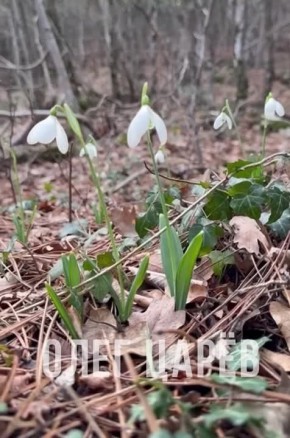 ���� ����: ����� ������ ���� �����, �����, �������� ���� ������ ��������� �����