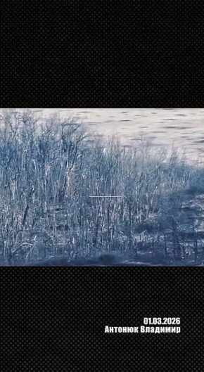 ��������� �������: �������� � ���� ���������� ���, ����������� ������� ��� �� ������ �����