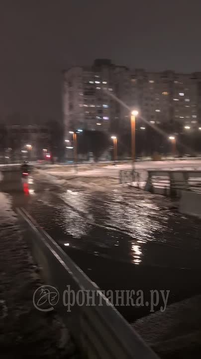 Врываемся в весну так же уверенно, дорогие петербуржцы