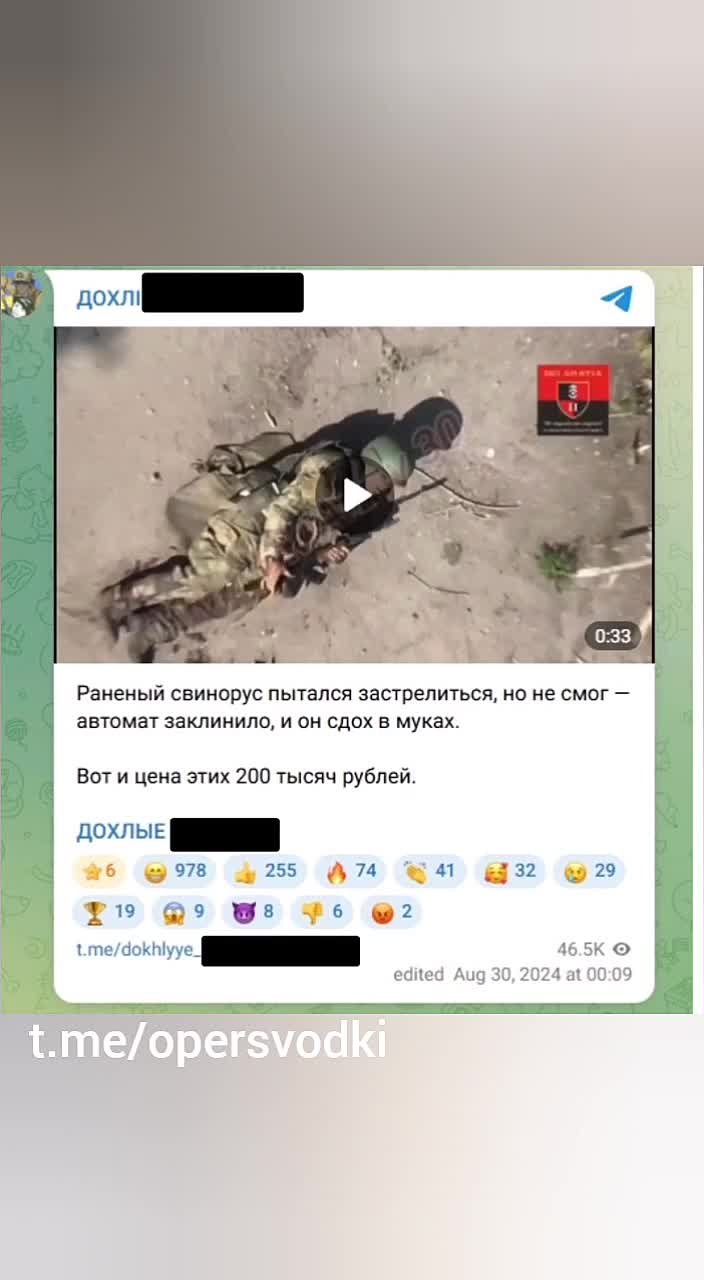 В Оренбургской области возбуждено уголовное дело по факту публичного оправдания терроризма