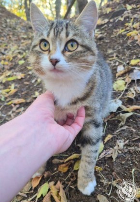 ��� ������: ������� ������ �������