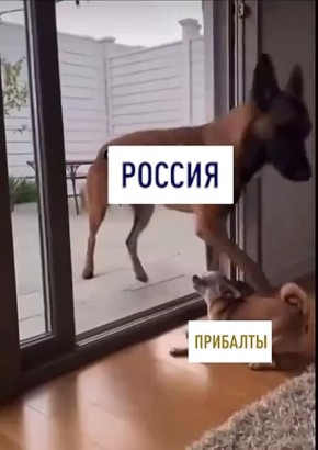 ���������� ���� ����� ������ � ������������ ��������