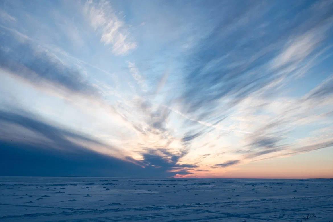 Александр Дрозденко поделился снимками ленинградских котиков Александр Дрозденко поделился снимками ленинградских котиков