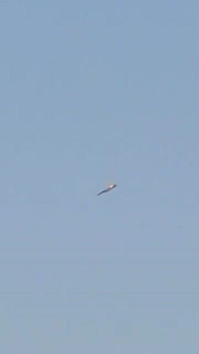 ������ ����������: ������������ ����������� �������� �������� � �������