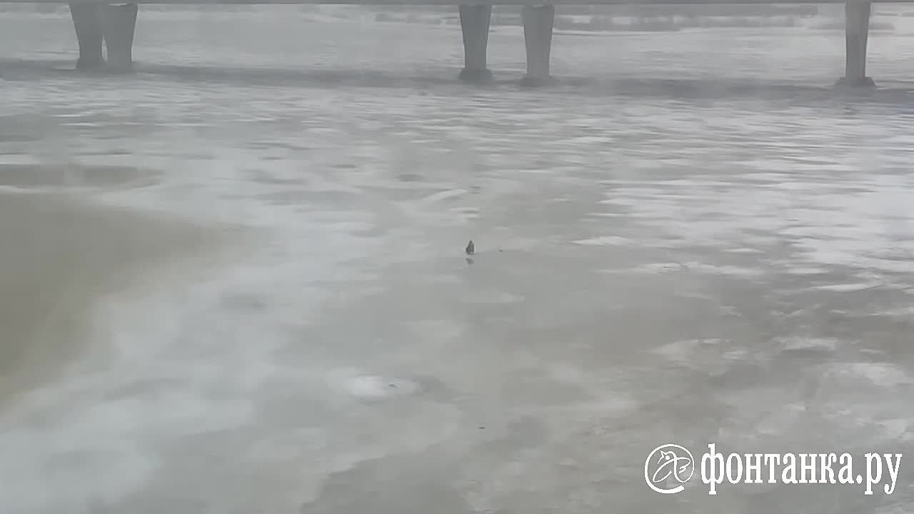 Что-то модно. Что-то вышло из моды