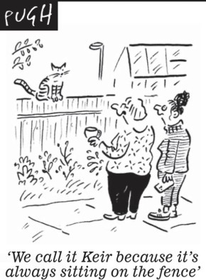 «Мы назвали его Киром, потому что он всегда сидит на заборе»