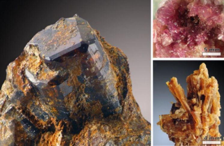 ���������� ������ ����������� ��������������� ������������ ��������� ������ ���������