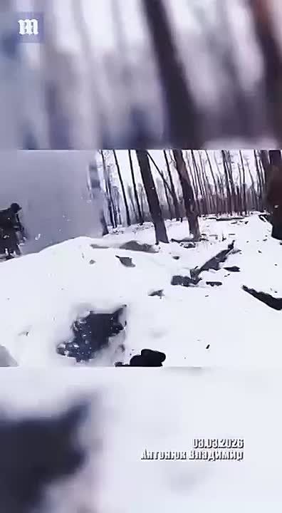 ��������� �������: ����������� � �������� � ���� ��� �������� ����������� ������� ��������� ��������: