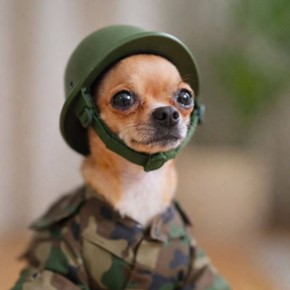 ���� ��������: ����� ����� ������� ���� � ������� � ���