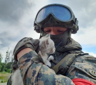 ����� ������. ������� ���