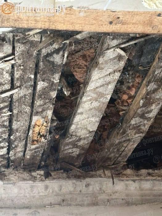 «На меня рухнул потолок». Коммуналку залило горячей водой после обрушения в Петроградском районе «На меня рухнул потолок». Коммуналку залило горячей водой после обрушения в Петроградском районе