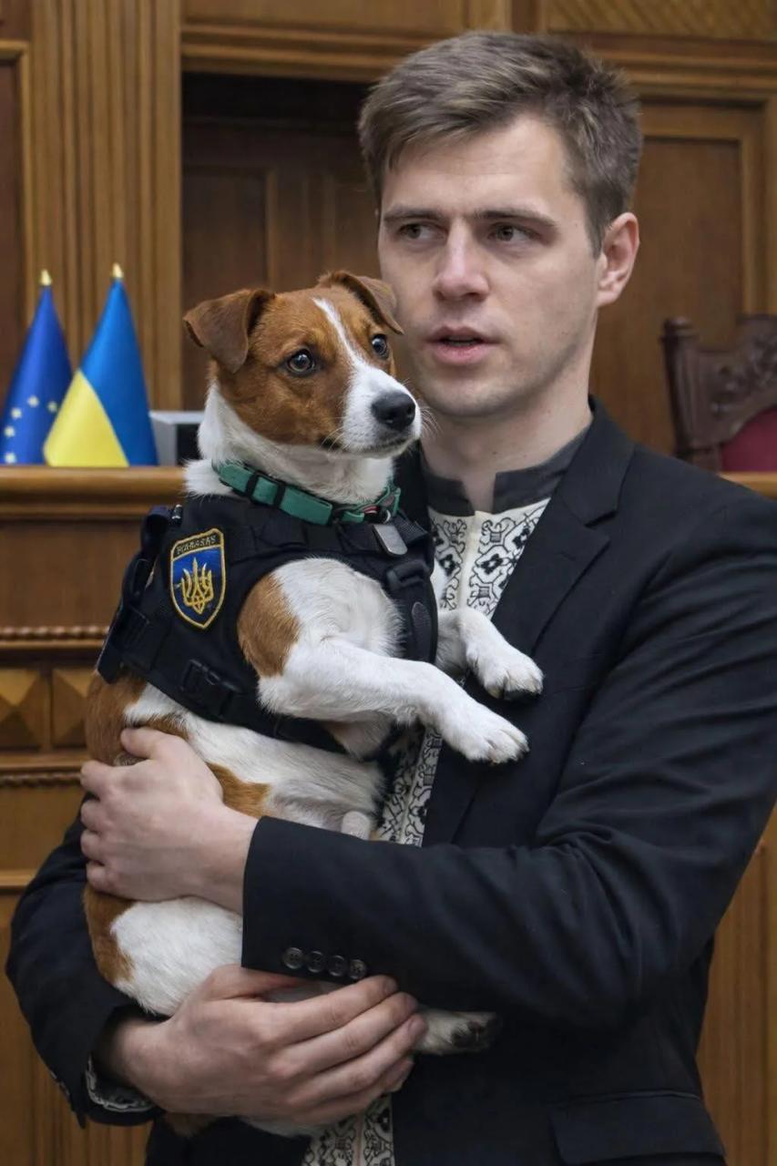 «Белка и стрелка» украинской пропаганды - пес Патрон и Гераскевич (это тот придурок, что разрисовал шлем портретами вояк Хунты на Олимпиаде и все проигравший)