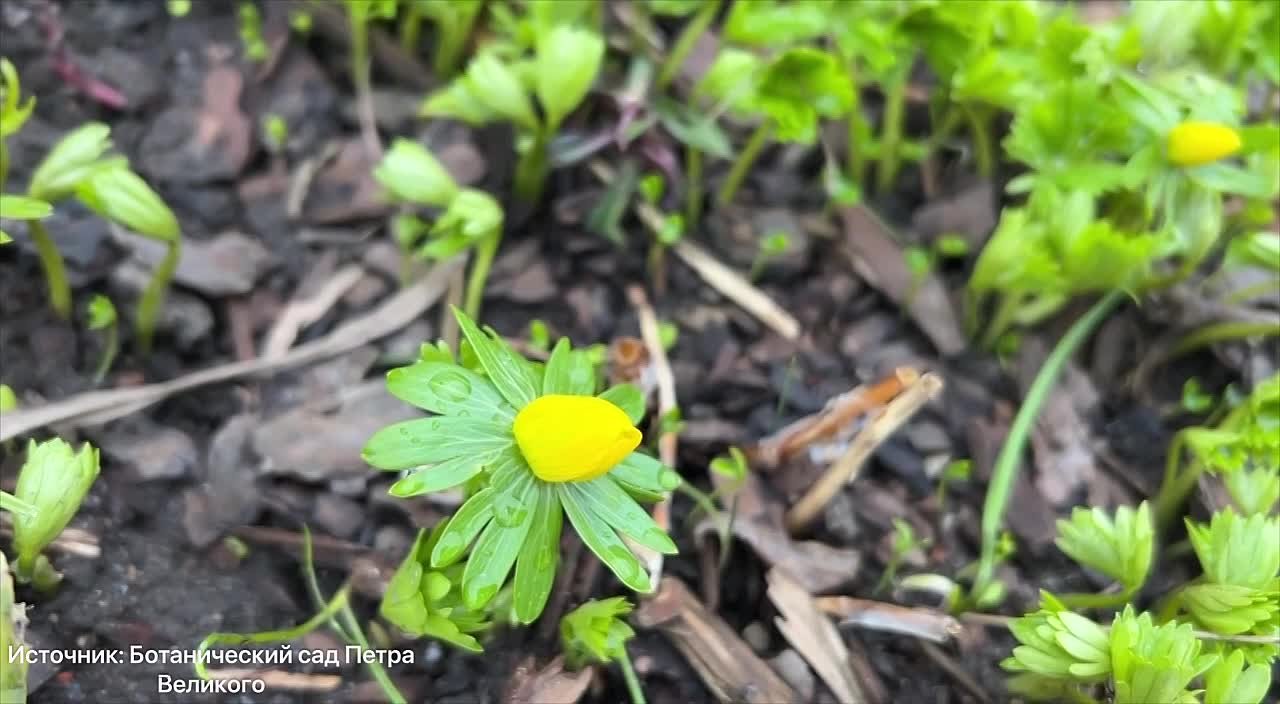 Не переживайте по поводу сегодняшнего дождя