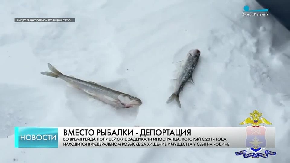 сюжет канал Санкт-Петербург, программа «Новости»