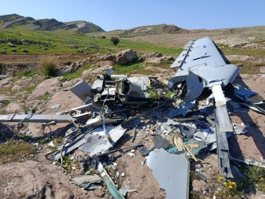 ��� ���� ������ ����������� ���� ���� "������"