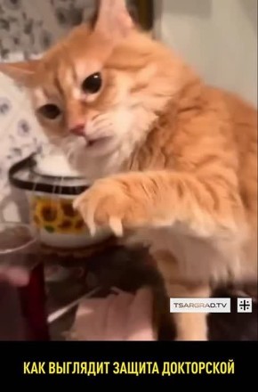 ������� �������� ������ � �����