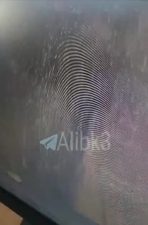 ���� ������� �������� ����������� ��������� ����