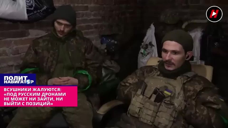 �������� ��������: ���� ������� ������� �� ����� �� �����, �� ����� � �������