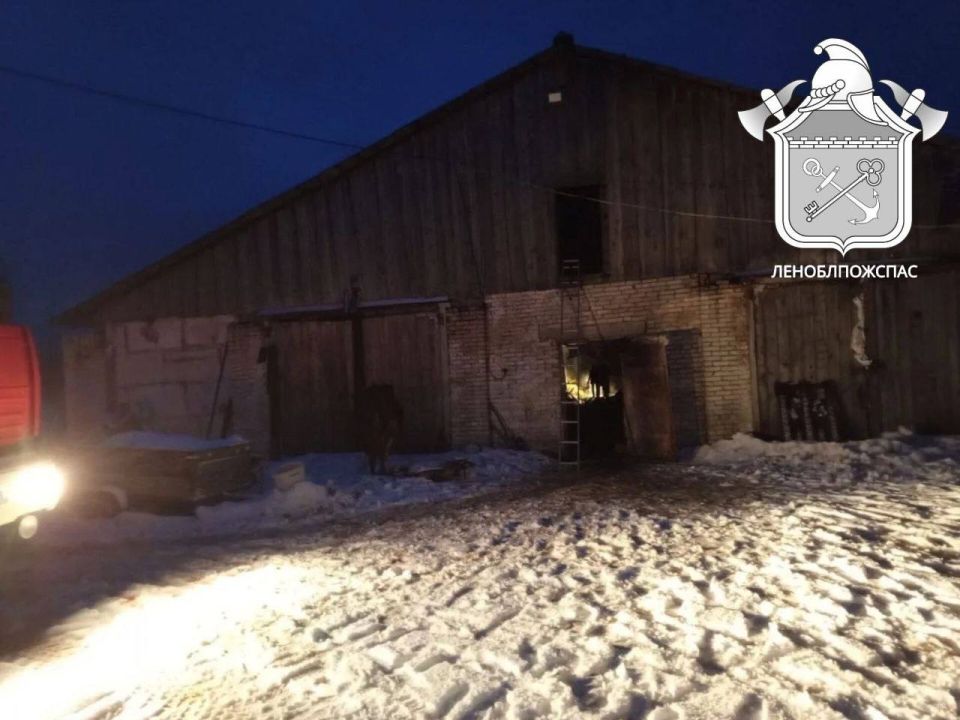 30 ����� � 20 ������� ������� � ������, ����������� � ����������� ������