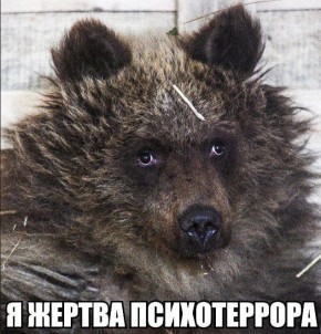 ������� ������: �������������� ������ ��������� ��� ��������� ��������-����� ����������� �������� �������� ������ ��� "�������", �������� ����� ��������� ������ - ��������� �������: