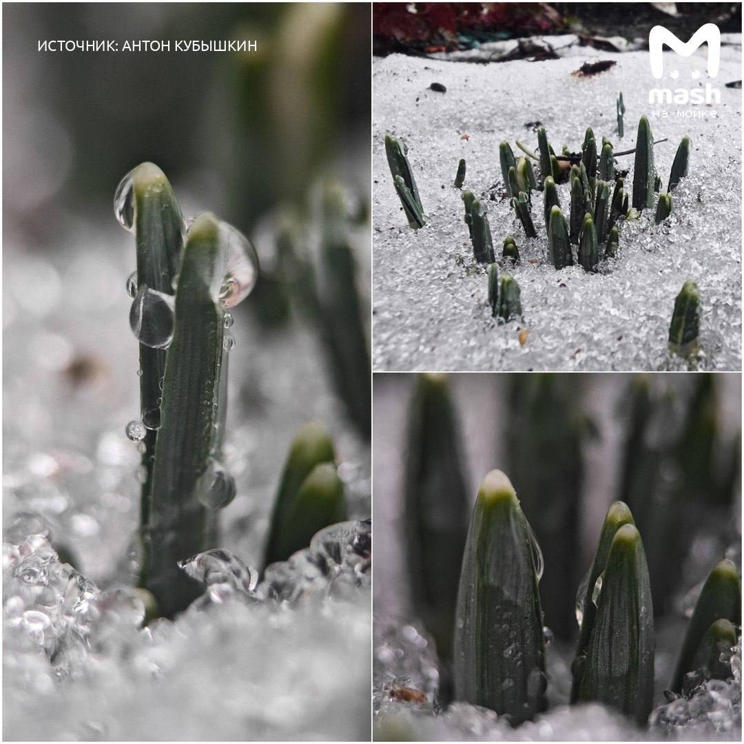 До +10 градусов (наконец-то) ждём на долгих трёхдневных выходных До +10 градусов (наконец-то) ждём на долгих трёхдневных выходных