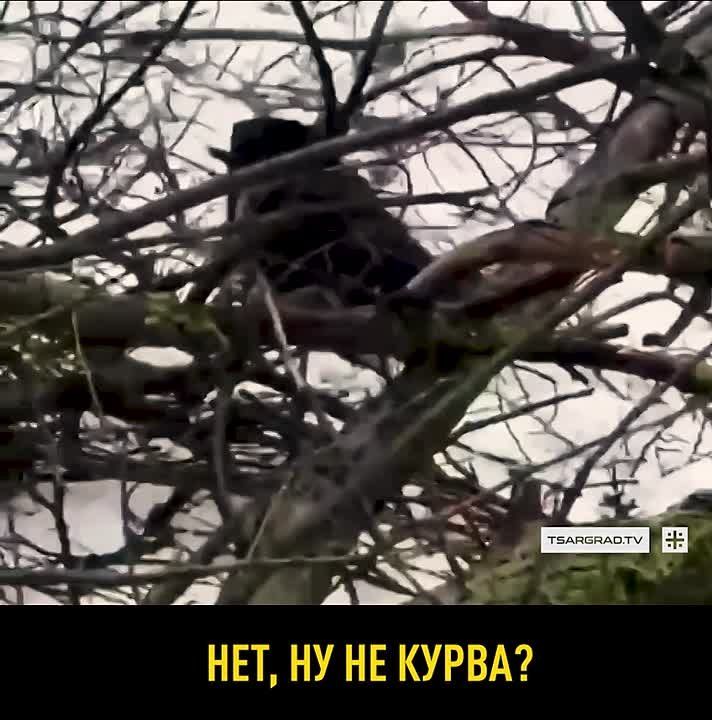 �� ׸���� ����� � ���������� ������� ���� ����� �������� ����������� �������� � ����������� ��������� ������ ����� �� ����� ����������