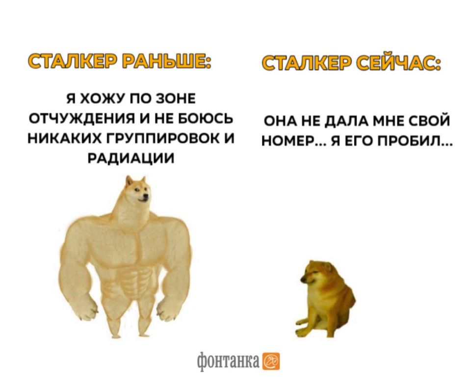 ������ ���� ������ ������������ �� ���� ���