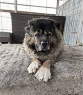 ��� ������: ������������ ��������� �������;